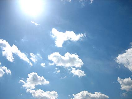 c0004193_224781.jpg