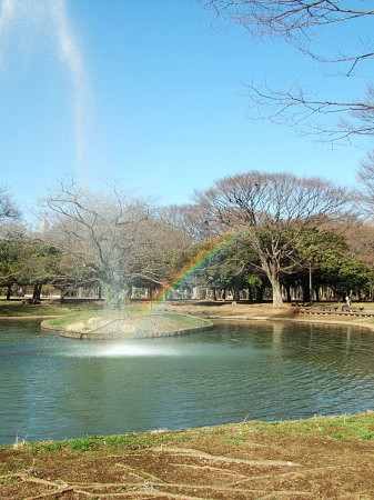 c0044199_0162769.jpg