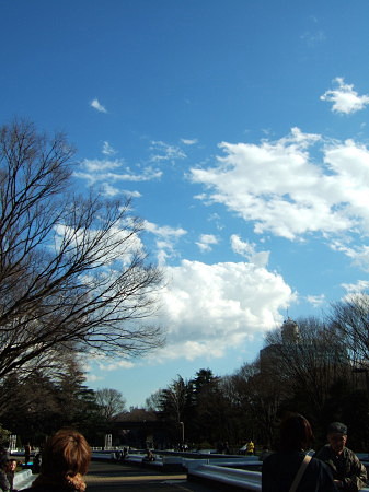 c0044199_016913.jpg