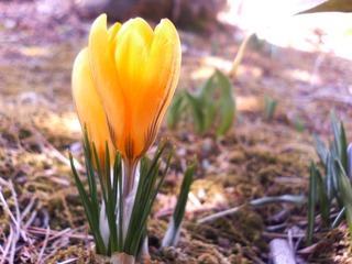 c0048701_1515530.jpg