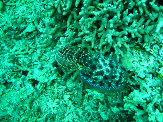 f0023210_1313046.jpg