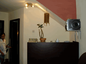 d0038319_14101356.gif