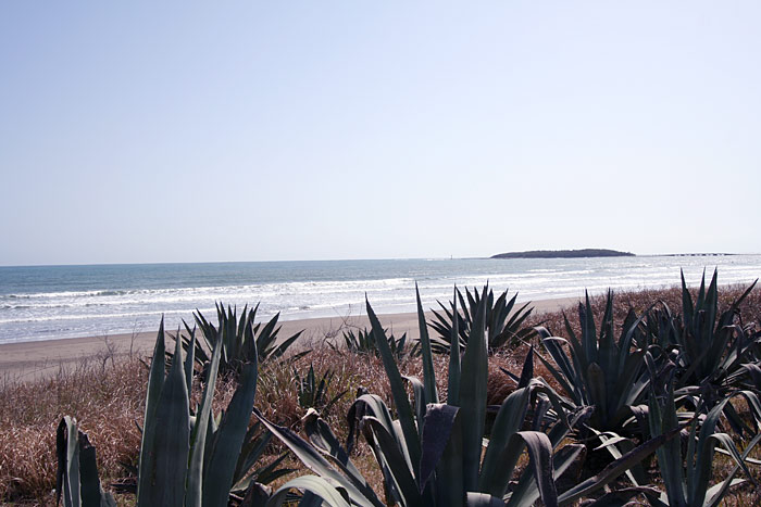 e0025930_21325049.jpg