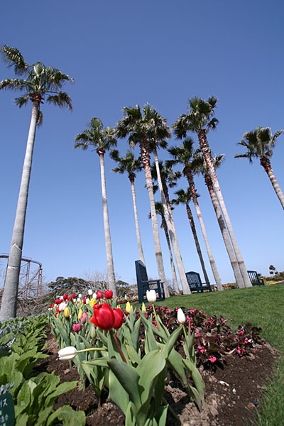 e0025930_21363975.jpg