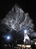 d0002736_222210.jpg
