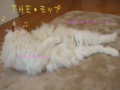 c0048042_18365591.jpg
