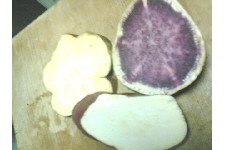 c0011446_20221222.jpg