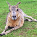 f0032147_23104577.jpg