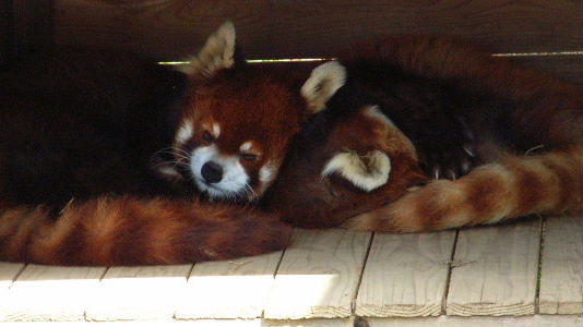 f0014748_20374819.jpg