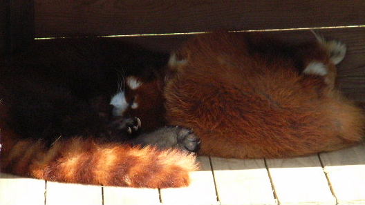 f0014748_20375743.jpg