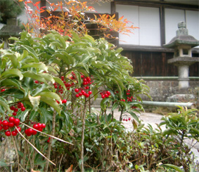 c0069552_16404429.jpg