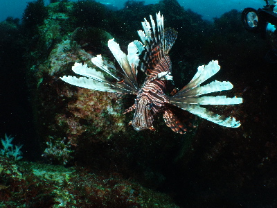 d0021952_22345897.jpg
