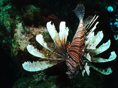 d0021952_22351515.jpg