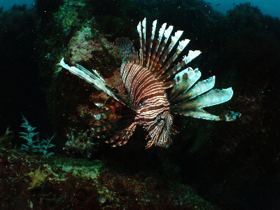 d0021952_22353910.jpg