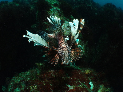 d0021952_22355655.jpg