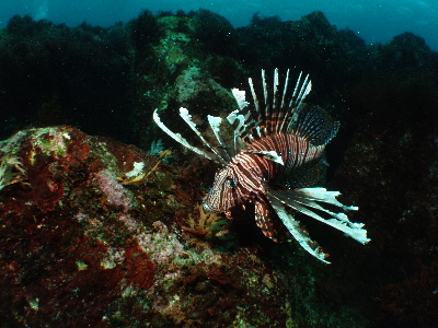 d0021952_22361547.jpg