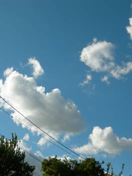 f0095977_14554384.jpg