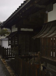 f0039281_2050728.jpg