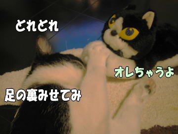 b0041182_23511922.jpg