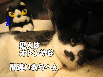 b0041182_23513892.jpg