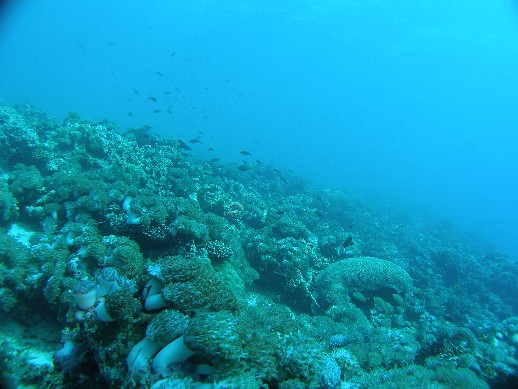 a0049693_22444030.jpg