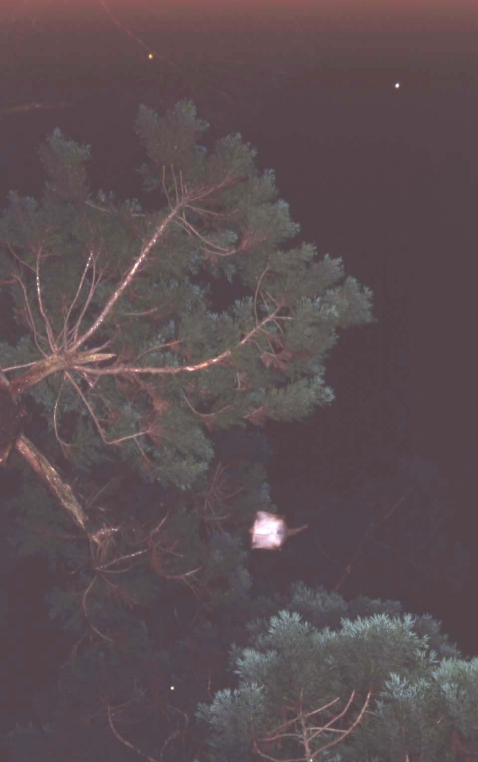 f0047593_621925.jpg