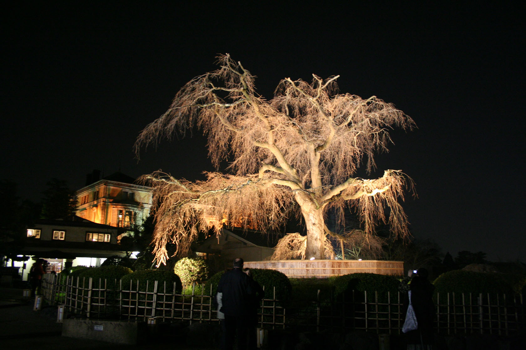 f0078493_1363978.jpg