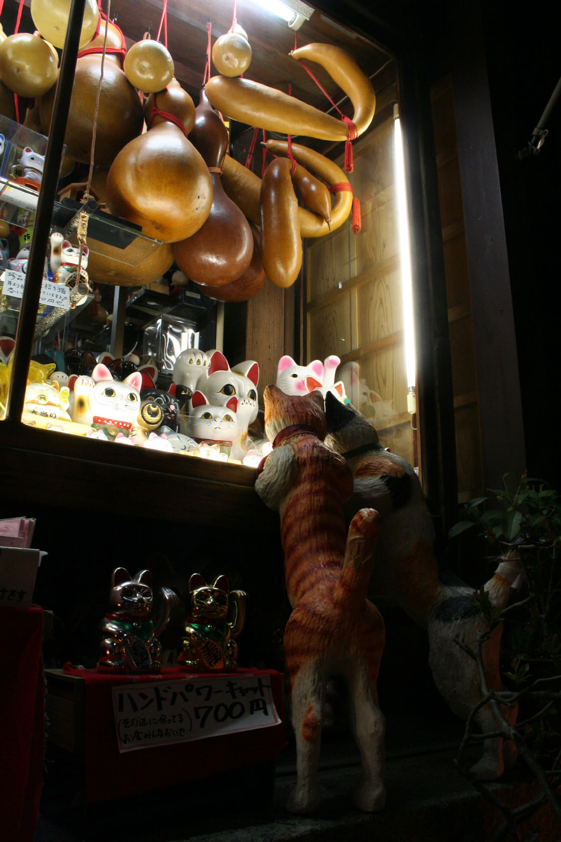 f0078493_1371470.jpg