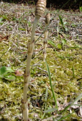 a0031000_2250234.jpg