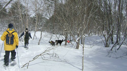 c0050400_21575638.jpg