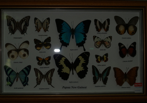 e0089001_0294719.jpg