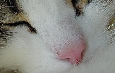 c0066610_16175435.jpg