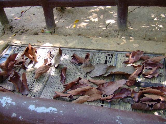 f0014815_111734100.jpg