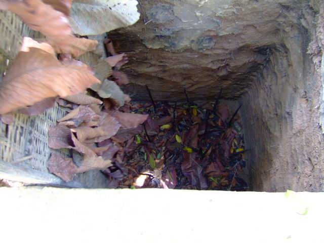 f0014815_11174466.jpg