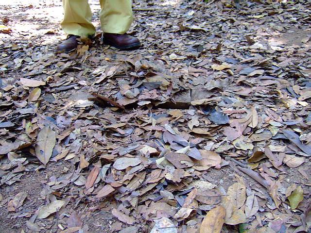 f0014815_11192470.jpg