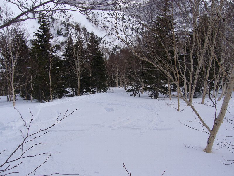 e0073717_8264756.jpg