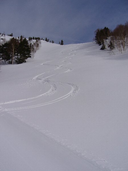 e0073717_8275071.jpg