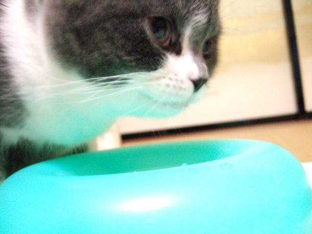 f0032020_14374673.jpg