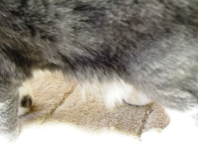 f0032020_14443117.jpg