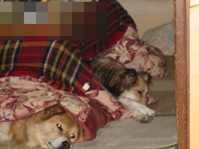 c0030624_2214553.jpg