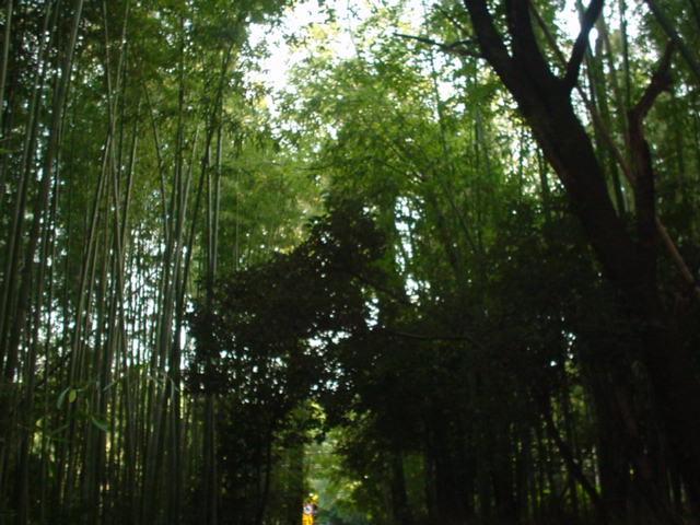 d0004627_1915842.jpg