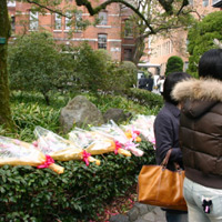 d0033734_1044689.jpg