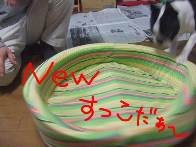 f0059334_23303251.jpg