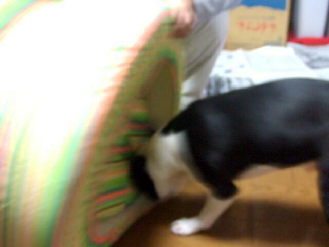 f0059334_23315753.jpg