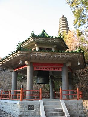 f0045736_8424230.jpg