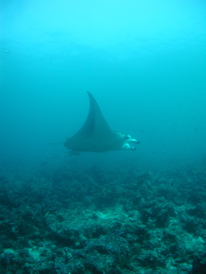 e0053937_1563717.jpg