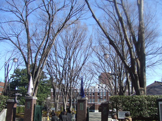 c0071545_22142149.jpg