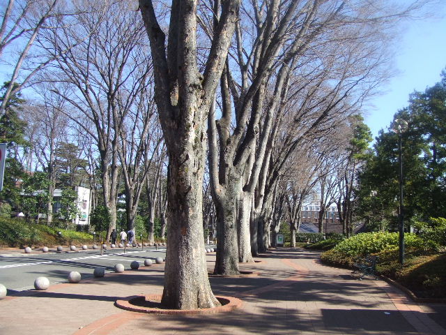 c0071545_2214760.jpg