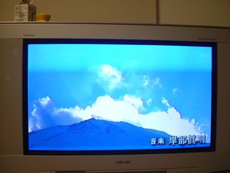 c0002256_2218442.jpg