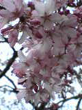 c0030363_23344646.jpg
